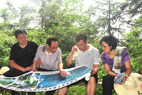 ����Ҷ���������