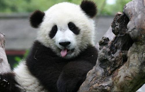 ��ˏ�(qi��ng)�n��(gu��)�����T(m��n)���ɹ���؛����