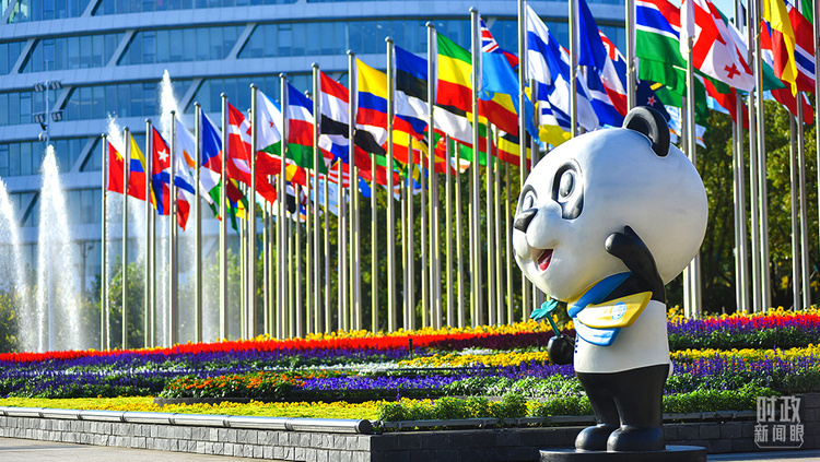 時政新聞眼丨十九屆六中全會審議通過重磅決議,釋放哪些重要信息?