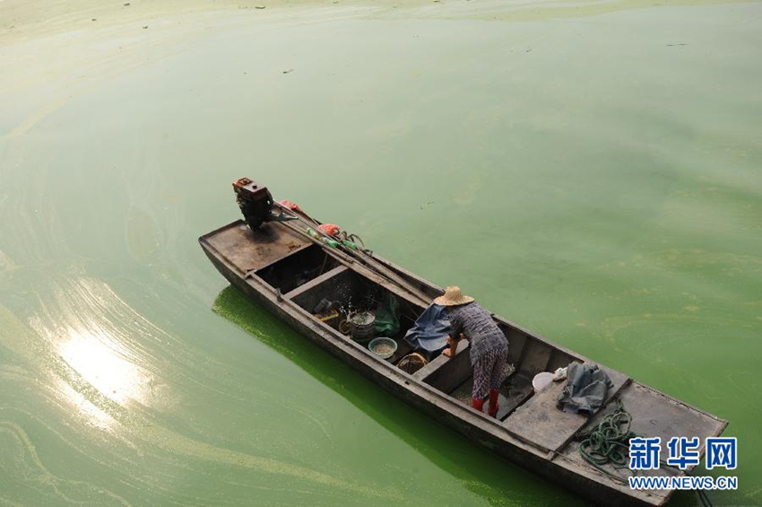 7��20�գ������Ǻ��볲���ڣ��O���С���������Ⱦ���ص�ˮ���ϡ�